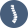 Spine Icon